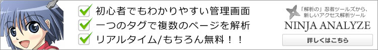 アクセス解析